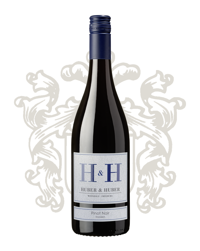Pinot Noir “Alte Reben” - trocken13:13